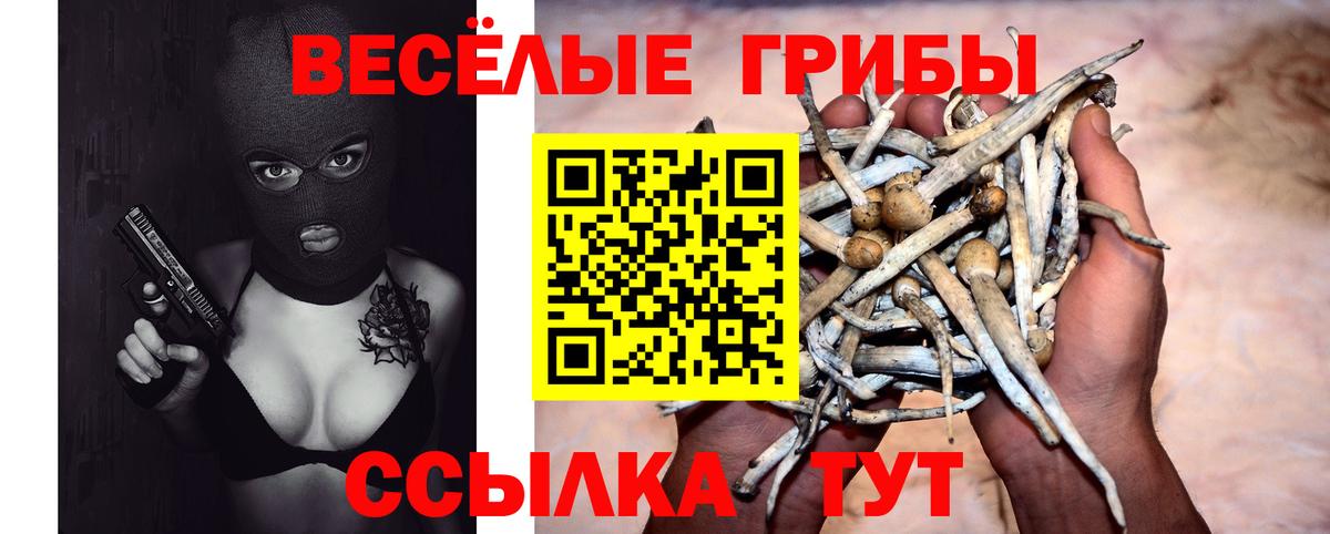 Псилоцибиновые грибы GOLDEN TEACHER  что такое наркотик  Надым  Вход с VPN 