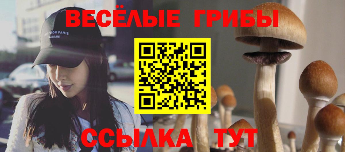 Галлюциногенные грибы прущие грибы Надым
